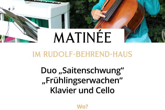 Behrend-Haus-Veranstaltung-Plakat-Martinee-Saitenschwung-2026